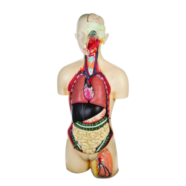 Biology lab equipment - Samtech Instruments