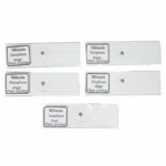 Slide Mitosis (Set of 5 slides)
