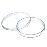 Petri Dish Glass 4" Anumbra