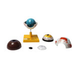 human eye model manufacturer