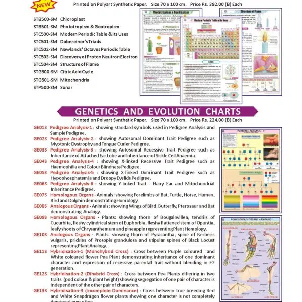 Genetics And Evolution Charts | Pedigree Analysis Chart