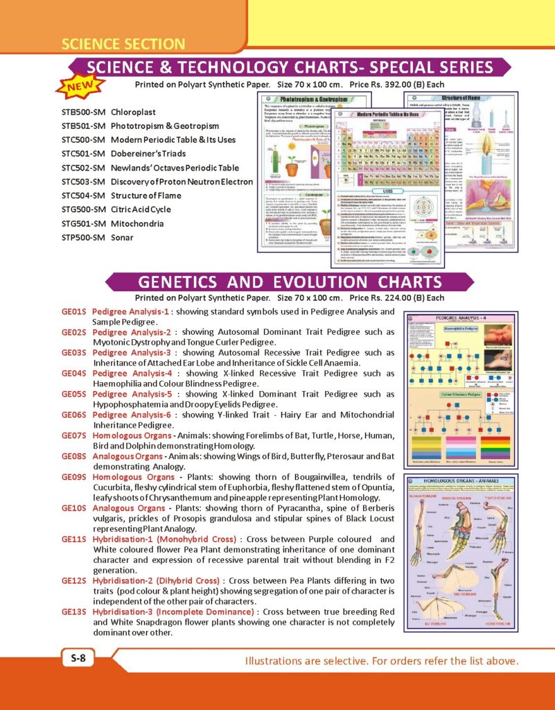 Genetics And Evolution Charts | Pedigree Analysis Chart