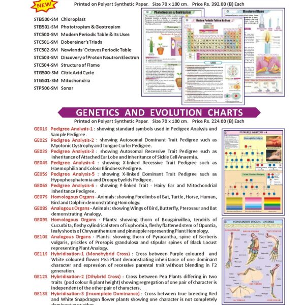 Science and Technology Charts