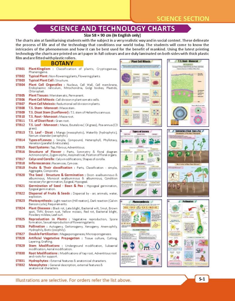 Botany Charts for school list