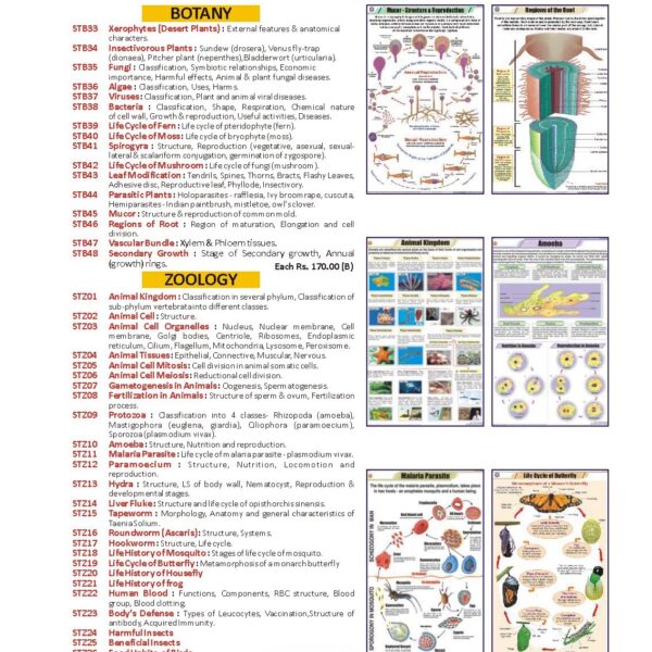 Zoology Charts for school