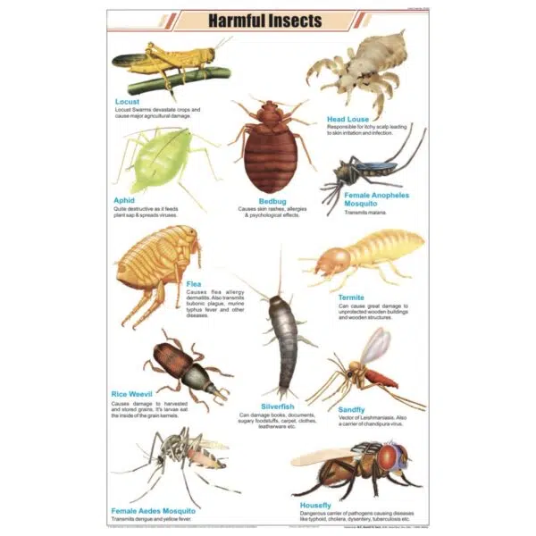 Harmful Insects Chart