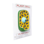 plant cell model manufacturer