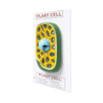 plant cell model manufacturer