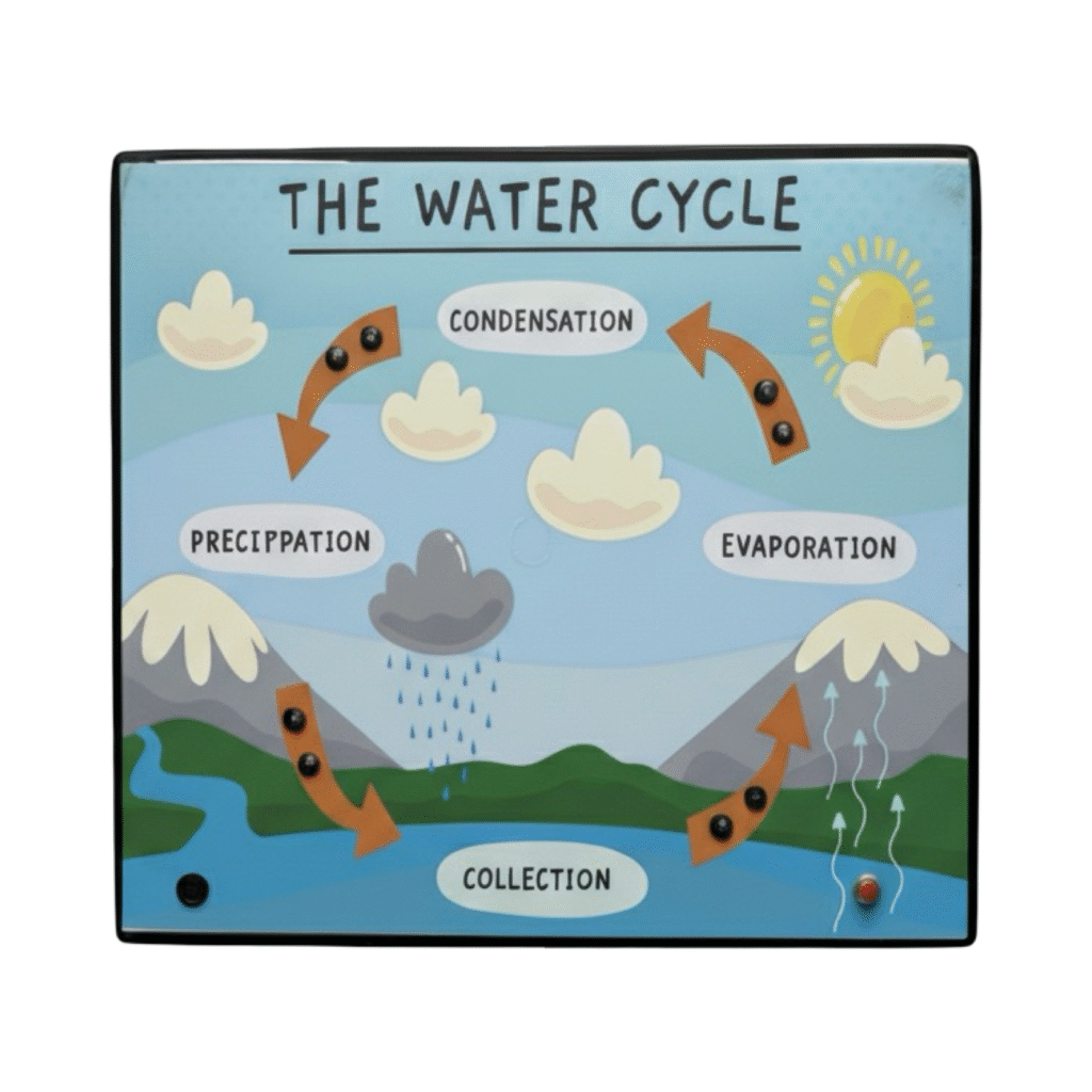 Water Cycle Model Manufacturer in Ambala