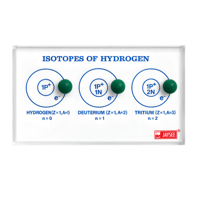 Isotopes of Hydrogen Model