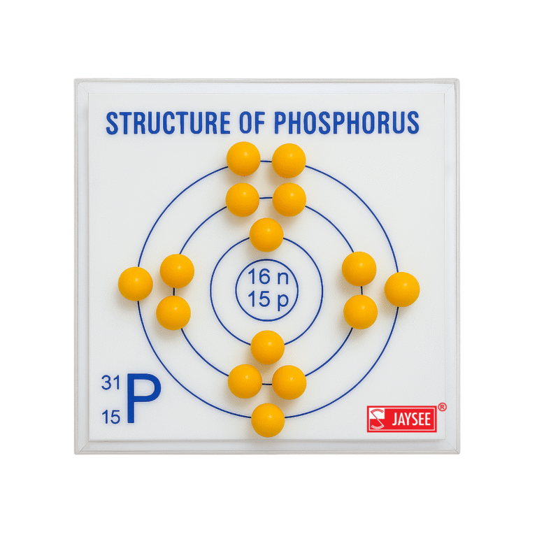 Structure of Phosphorus Model