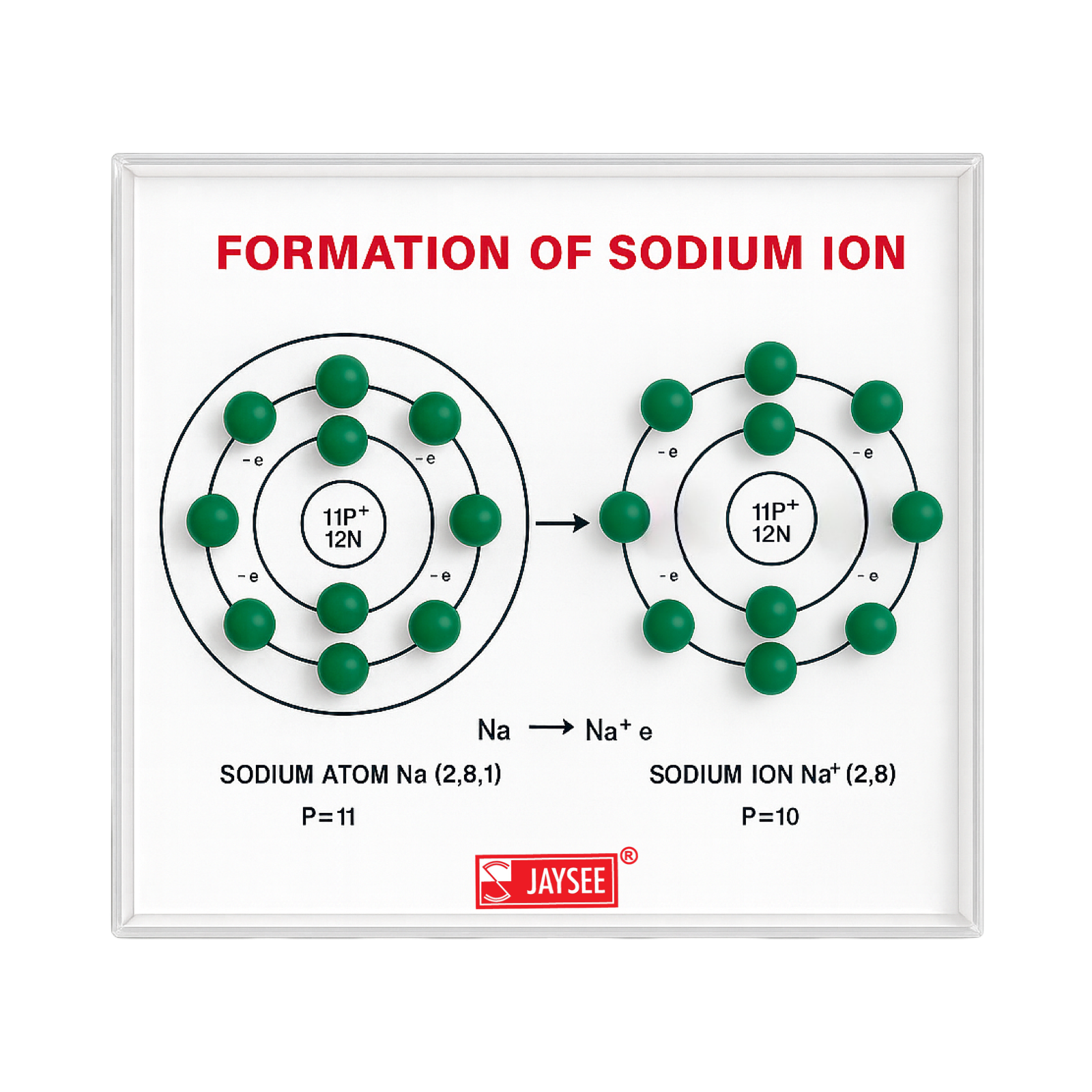 Formation of Sodium Ion Model