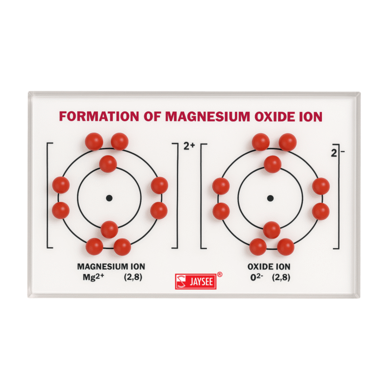 Formation of Magnesium Oxide Ion Model