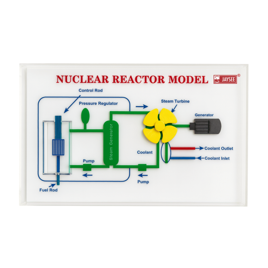 Nuclear Reactor Model