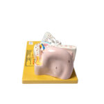 Human Ear Model Manufacturer