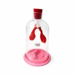 Human Lungs Model in jar manufacturer