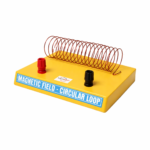 Magnetic Field Along Circular Loop