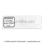 Amoeba Binary Fission Slide Manufacturer & Supplier in Ambala, India