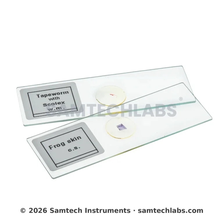 Animal Tissue Slide Manufacturer & Supplier in Ambala, India