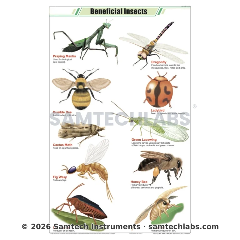 Beneficial Insects Chart Manufacturer & Supplier in Ambala, India