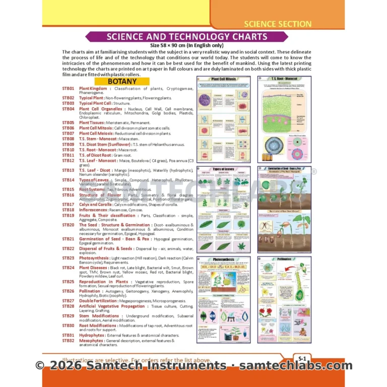 Botany Charts Manufacturer & Supplier in Ambala, India