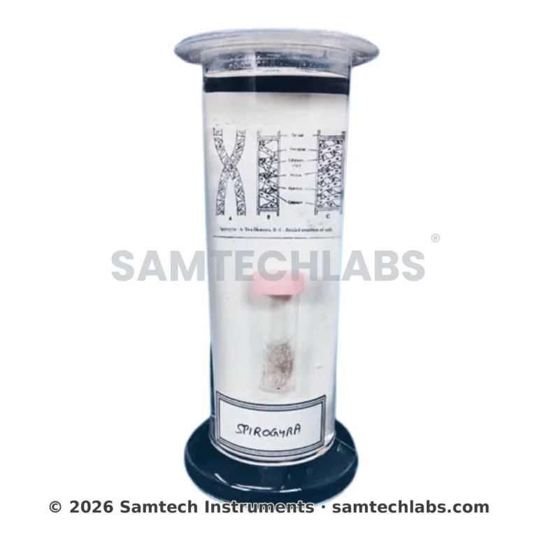 Botany Specimens (Common) Manufacturer & Supplier in Ambala, India