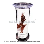 Botany Specimens (Common) Manufacturer & Supplier in Ambala, India