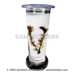 Botany Specimens (Common) Manufacturer & Supplier in Ambala, India
