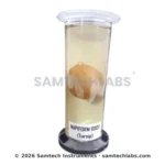 Botany Specimens (Common) Manufacturer & Supplier in Ambala, India