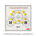 Covalent Bond in Water Model Manufacturer & Supplier in Ambala, India