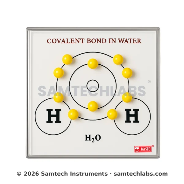 Covalent Bond in Water Model Manufacturer & Supplier in Ambala, India