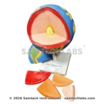 Earth Layer Model Manufacturer & Supplier in Ambala, India