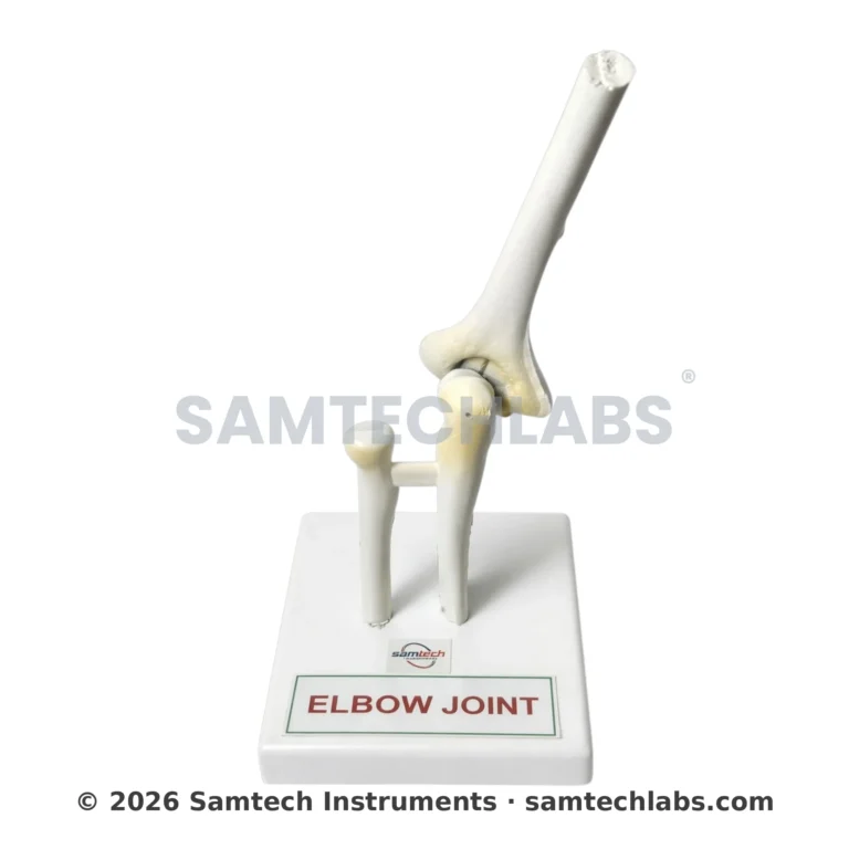 Elbow Joint Model Manufacturer & Supplier in Ambala, India