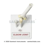 Elbow Joint Model Manufacturer & Supplier in Ambala, India