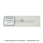 Entamoeba Slide Manufacturer & Supplier in Ambala, India
