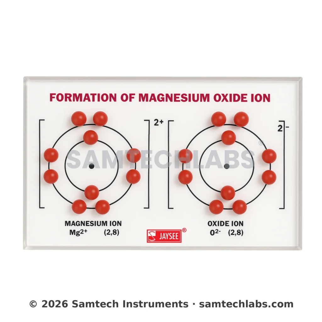 Formation of Magnesium Oxide Ion Model Manufacturer & Supplier in Ambala, India