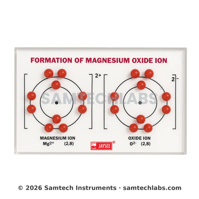 Formation of Magnesium Oxide Ion Model Manufacturer & Supplier in Ambala, India