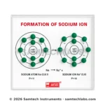 Formation of Sodium Ion Model Manufacturer & Supplier in Ambala, India