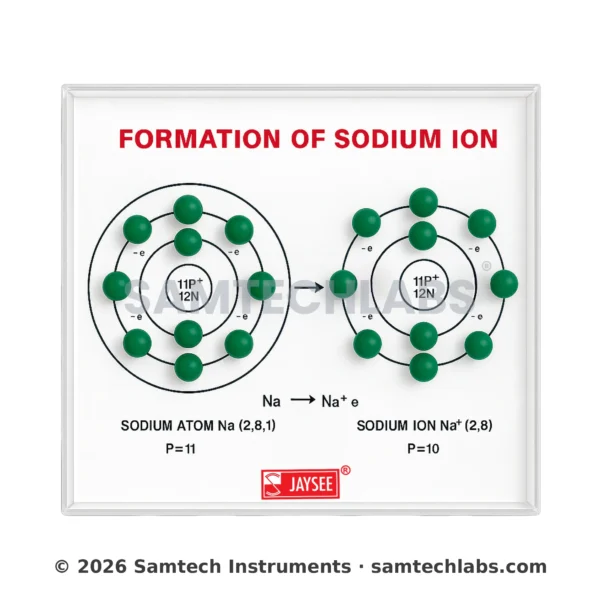 Formation of Sodium Ion Model Manufacturer & Supplier in Ambala, India