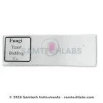 Fungi Yeast Budding Slide Manufacturer & Supplier in Ambala, India