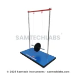 Giant Yo-Yo model Manufacturer & Supplier in Ambala, India