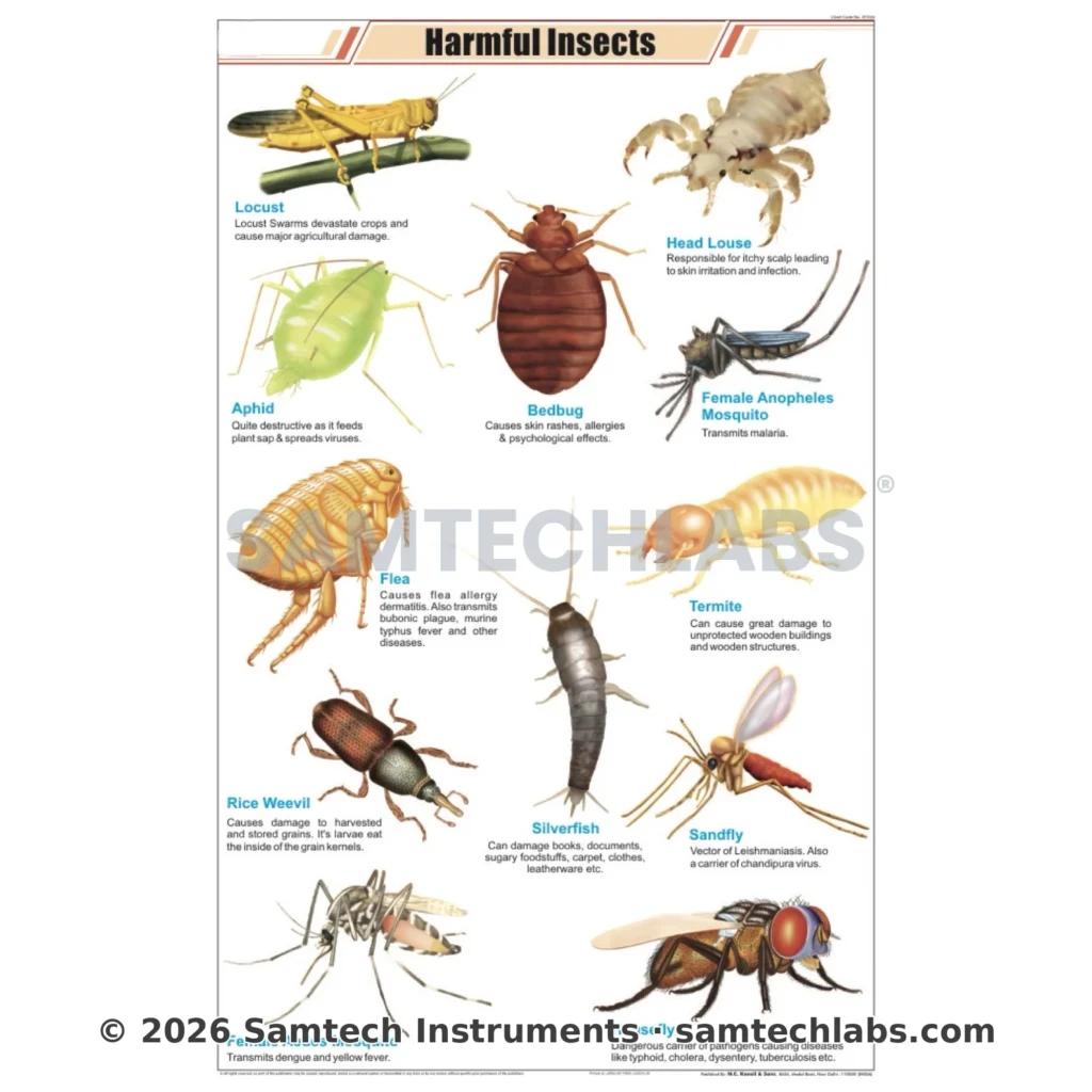 Harmful Insects Chart Manufacturer & Supplier in Ambala, India