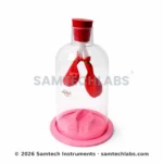 Human Lungs Model in Jar Manufacturer & Supplier in Ambala, India
