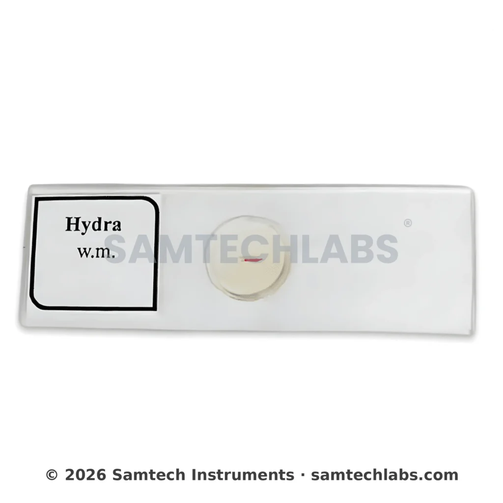 Hydra Slide Manufacturer & Supplier in Ambala, India