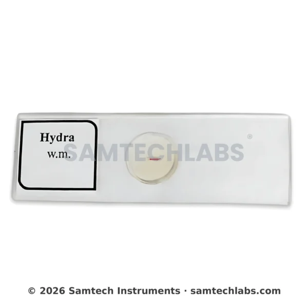 Hydra Slide Manufacturer & Supplier in Ambala, India