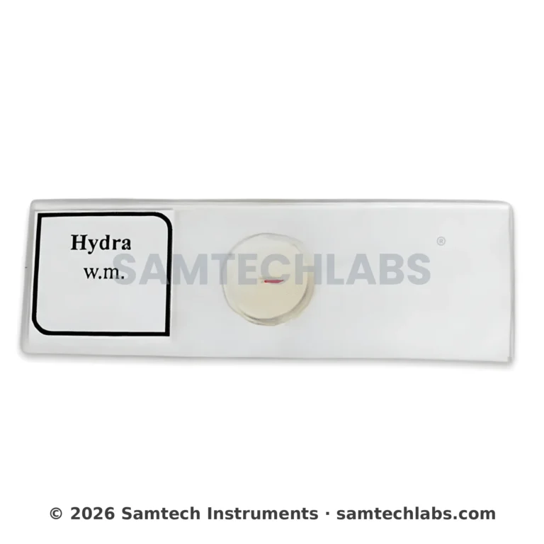 Hydra Slide Manufacturer & Supplier in Ambala, India