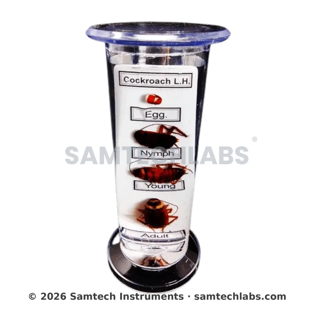 Life History of Specimens Manufacturer & Supplier in Ambala, India
