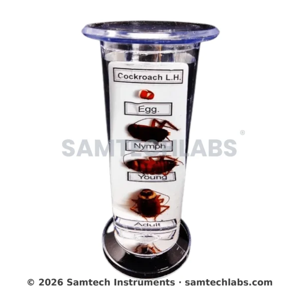 Life History of Specimens Manufacturer & Supplier in Ambala, India