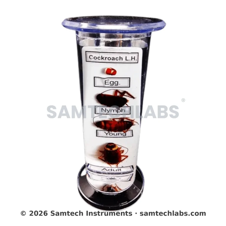 Life History of Specimens Manufacturer & Supplier in Ambala, India