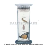 Life History of Specimens Manufacturer & Supplier in Ambala, India